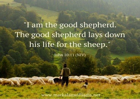 My Good Shepherd | Linda's Thoughts